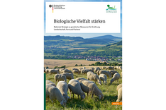 Biologische Vielfalt im Fokus: Nationale Strategie zu genetischen Ressourcen veröffentlicht