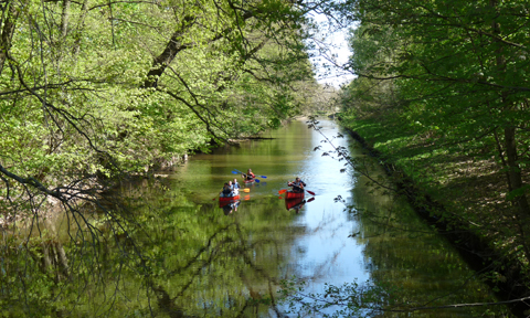 3 Kanus mit mehreren Personen fahren auf einem ruhigen Fluss. Die Ufer sind bewachsen, einige Bäume ragen in den Fluss.