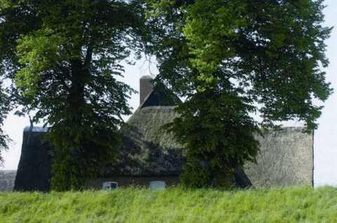 Das reetgedeckte Gibeldach eines Hauses lugt hinter einem Hügel hervor, eingerahmt von zwei hohen Laubbäumen