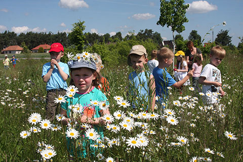 Bunte Blumenwiese mit Kindern
